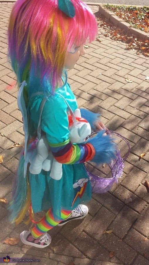 My Little Pony Rainbow Dash Costume - Photo 6/7