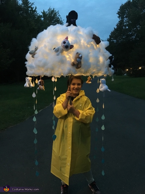 Raining Cats and Dogs Costume