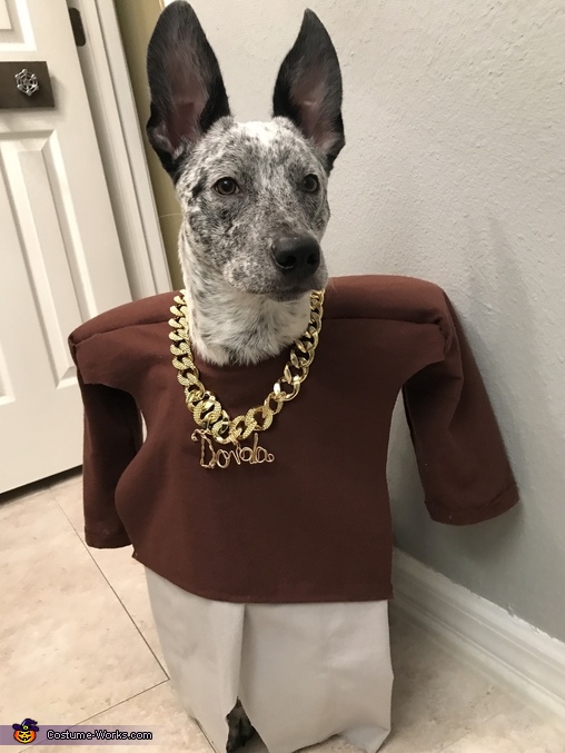 Rap DOG Costume | Unique DIY Costumes