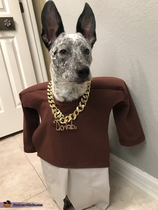 Rap DOG Costume