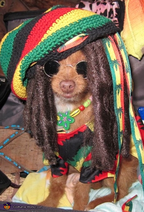 Rasta Ginger Costume