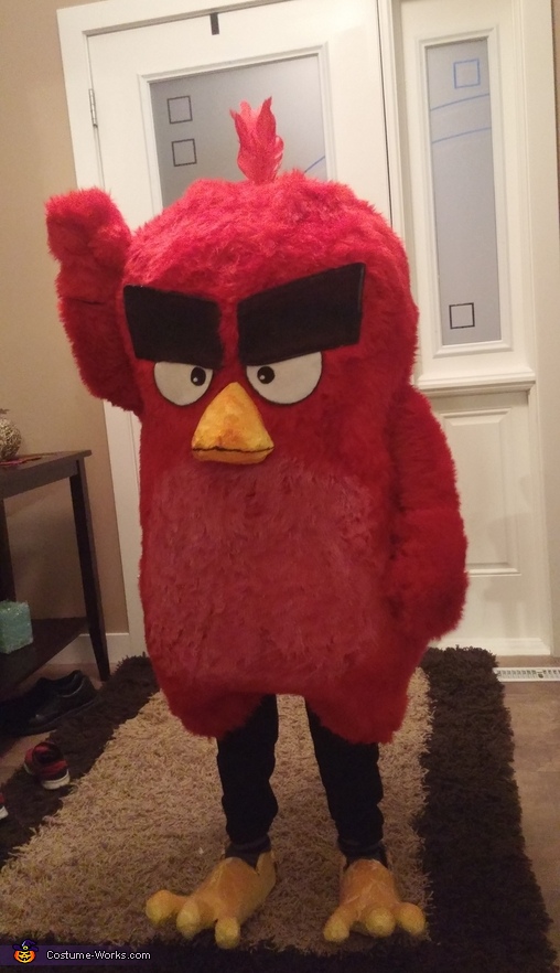 Red Bird Costume