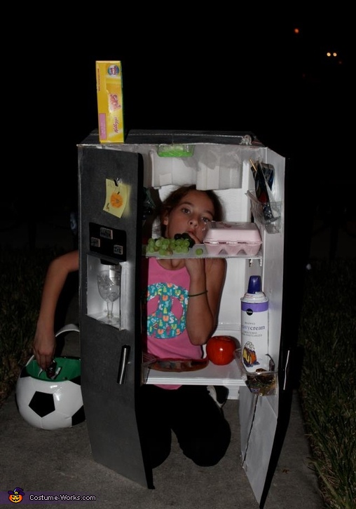 DIY Refrigerator Halloween Costume | DIY Costumes Under $45