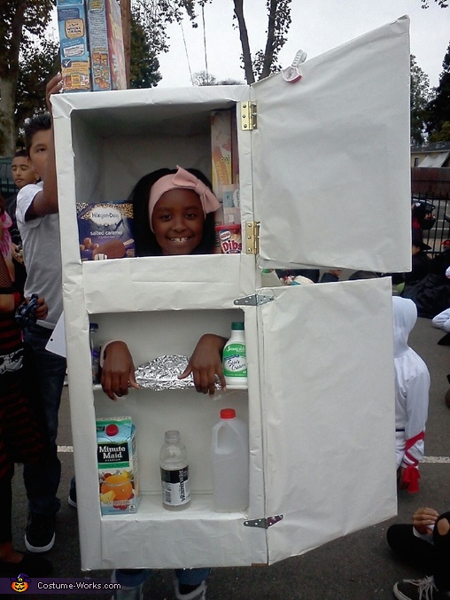 Refrigerator Costume