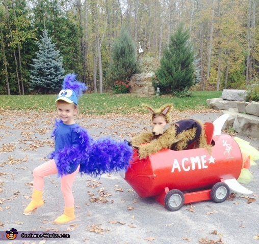 Road Runner and Coyote Costume