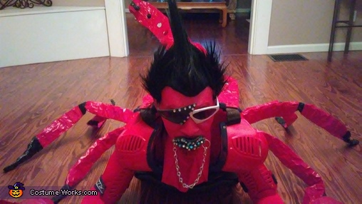 Rock n Red Scorpion Costume