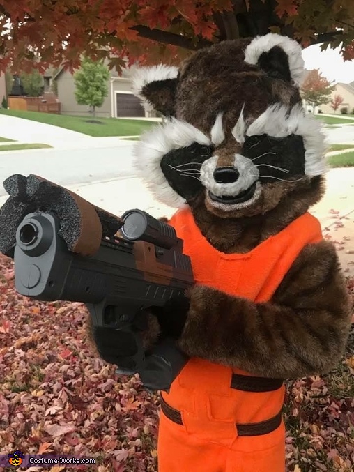 raccoon halloween costume