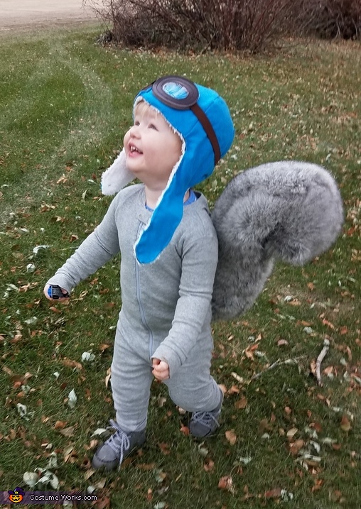 Rocky the Squirrel Costume