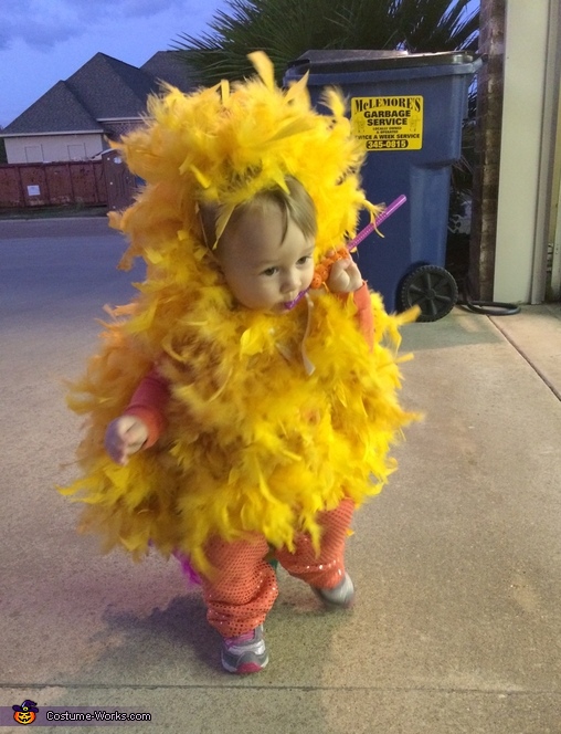 Rooster Baby Costume