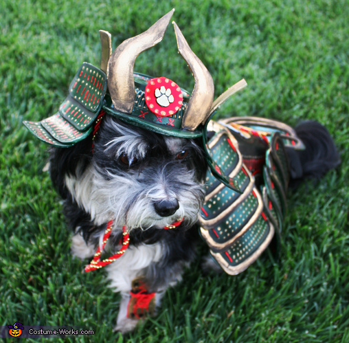 Rosco The Last Dog Samurai Costume