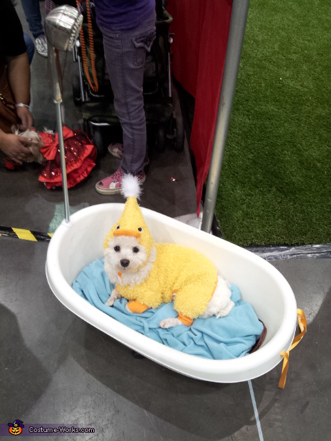 Rubber Duck Dog Costume