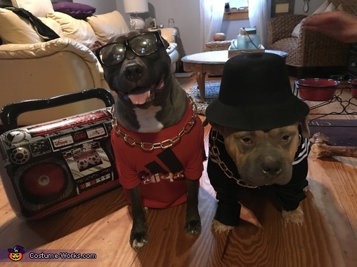 Run-DMC Dog Costume