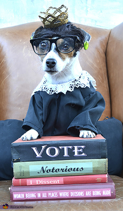 Ruth Bader Ginsburg Costume