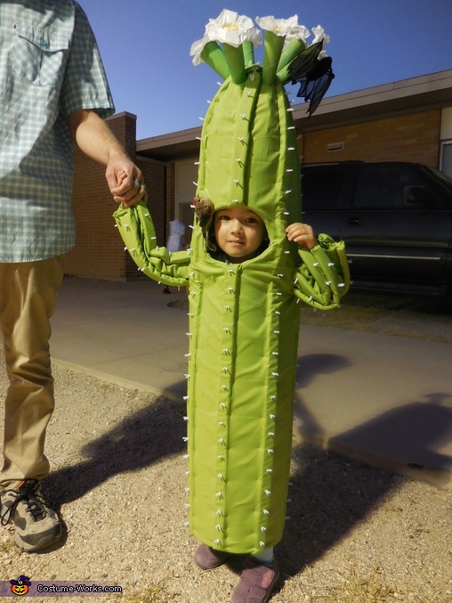 Saguaro Cactus Costume