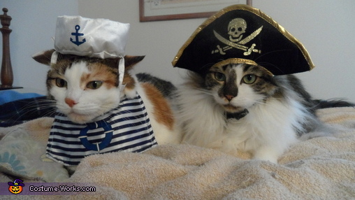 Sailor and Pirate Costume