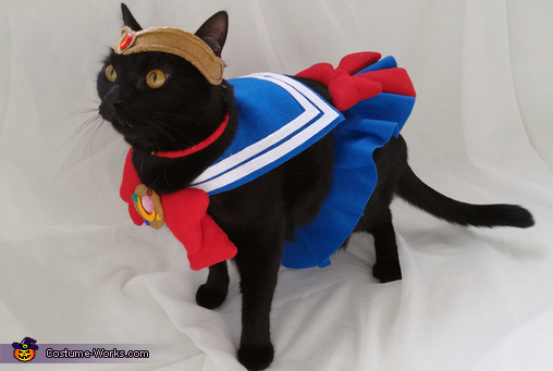 Sailor Mewn Costume