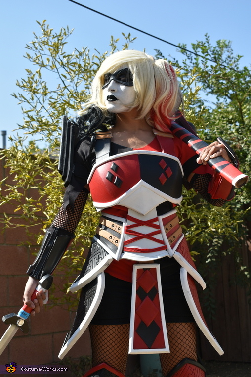 Samurai Harley Quinn Costume