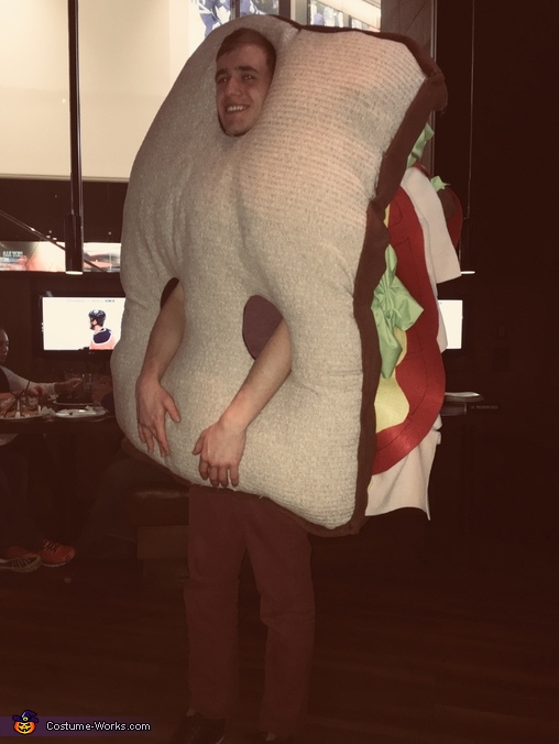 Sandwich Costume