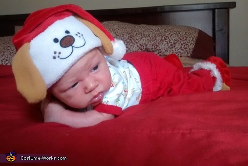 Santa Puppy Baby Costume