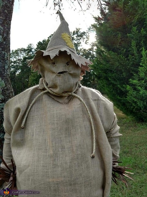 Scarecrow Men's Halloween Costume No-Sew DIY Costumes, 54% OFF