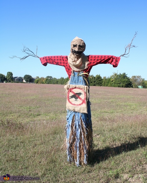 Scarecrow Costume