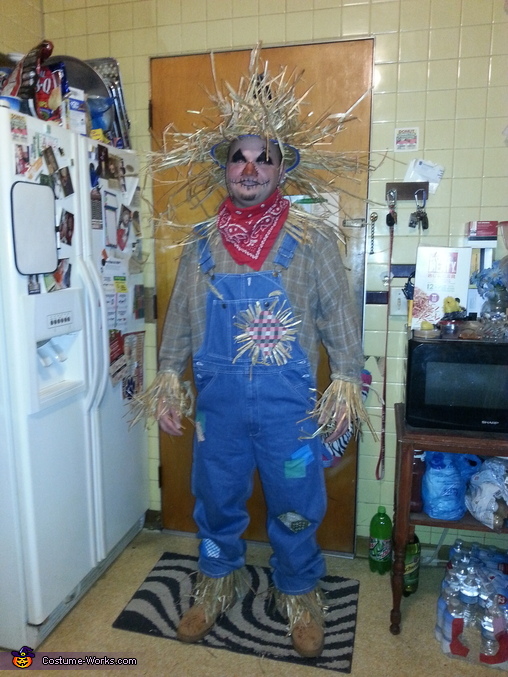 Scarecrow Adult Costume | DIY Costumes Under $35