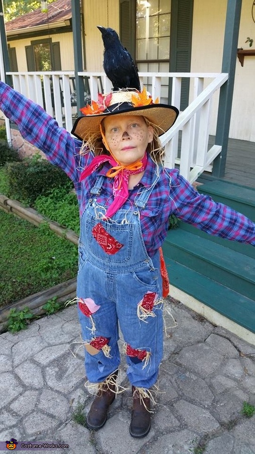 Scarecrow Adult Halloween Costume | Coolest DIY Costumes