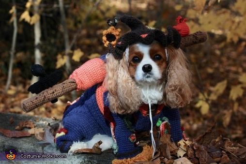 Scarecrow Roxie Costume