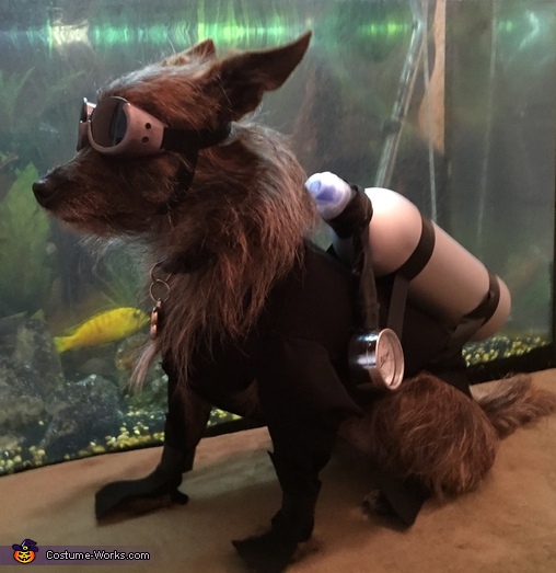 Scuba Diver Dog Costume