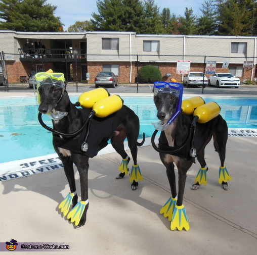 Scuba Dogs Costume DIY Tutorial