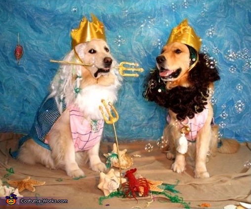 Kings Poseidon and Triton, Greek Gods of the Sea Costume