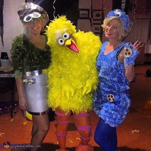Sesame Street Costume