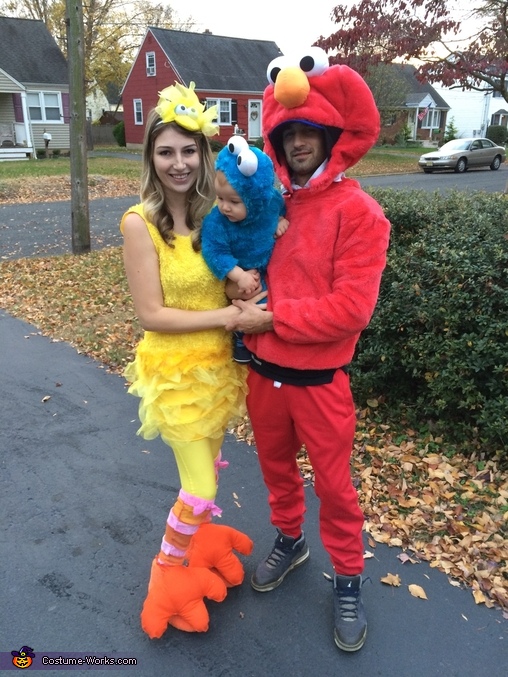 Sesame Street Crew Costume