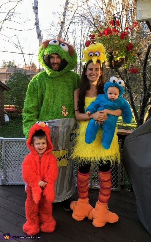 Sesame Street Family Costume