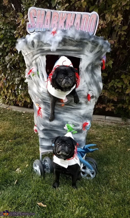 Sharknado - Pugnado Costume