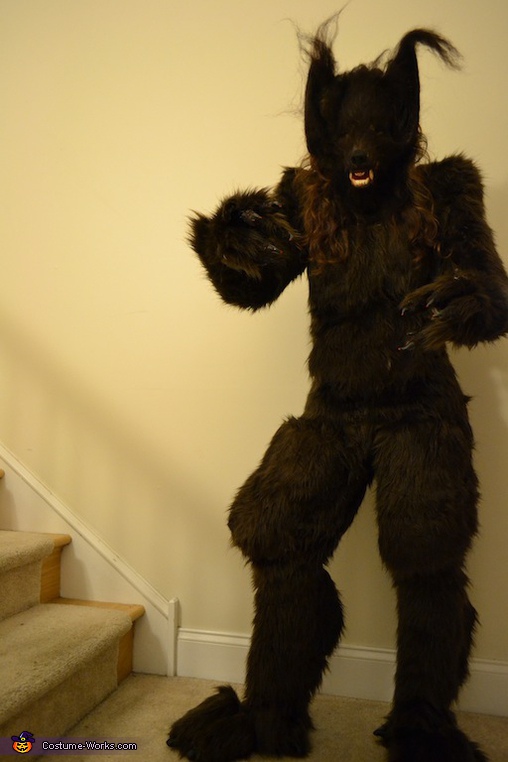 Homemade She-Werewolf costume - Photo 2/8