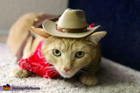 Sheriff Cat Costume