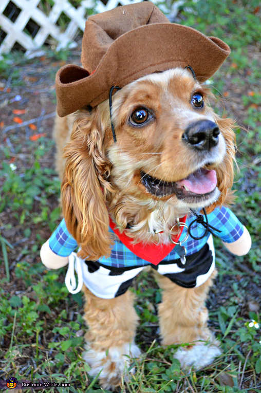 Sheriff Dog Costume