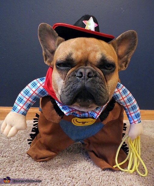Sheriff Dog Costume