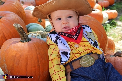 Sheriff Woody from Toy Story Costume | Creative DIY Costumes