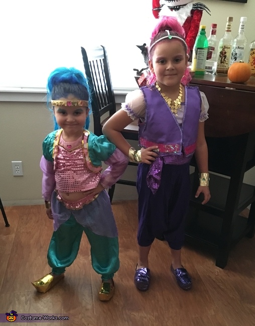 Shimmer and Shine Kids Costume Girls XS 3 4 S 5 6 Genie Twins Princess Paradise 