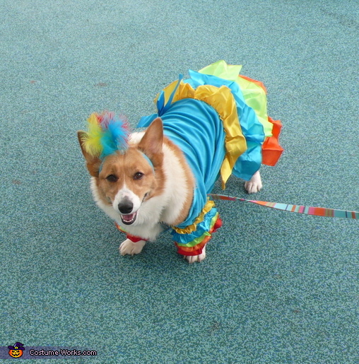 Showgirl Dog Costume
