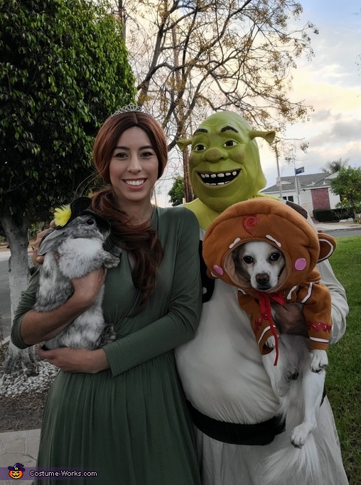 Shrek Characters Costume