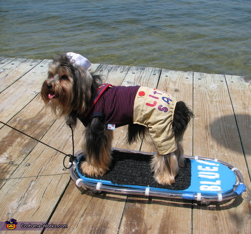 Skateboarding Dog Costume | Mind Blowing DIY Costumes