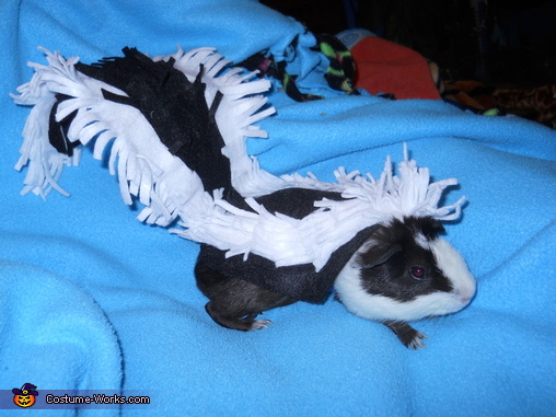 Skunk Costume