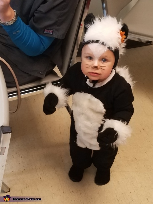 Skunk Costume