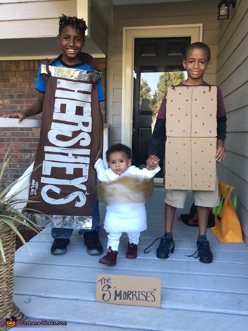 S'Mores Family Costume | Unique DIY Costumes - Photo 2/2