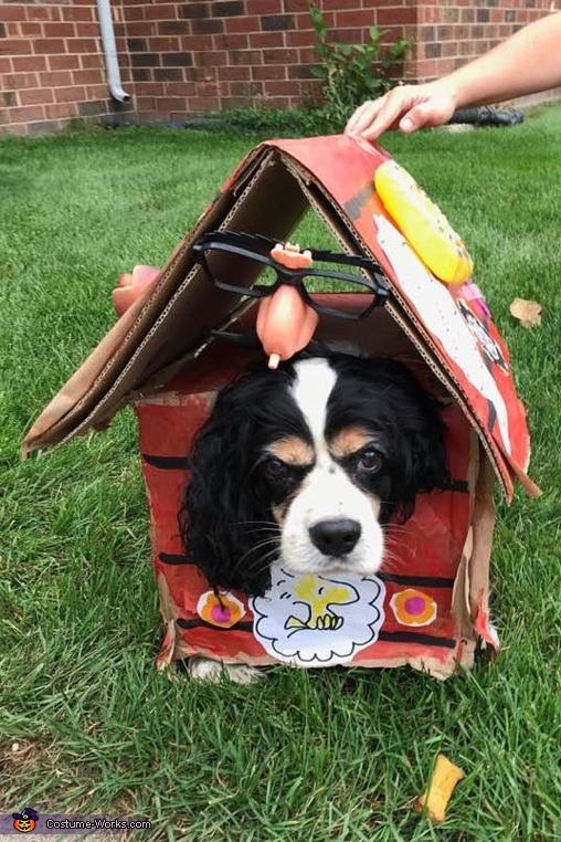 Snoopy Costume