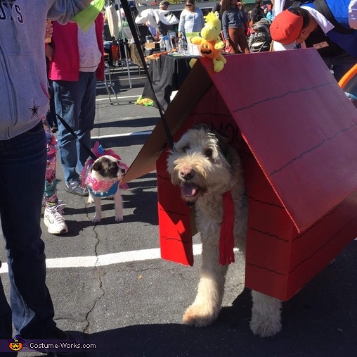 Snoopy The Flying Ace and Woodstock Costume