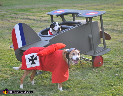 Snoopy vs. The Red Baron Costume